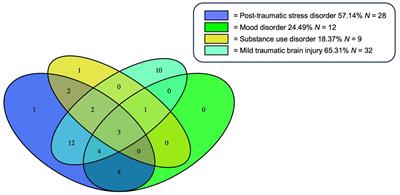 Intimate partner violence perpetration among veterans: associations with neuropsychiatric symptoms and limbic microstructure